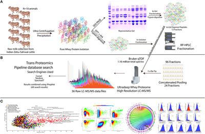 High-Resolution Mass Spectrometer–Based Ultra-Deep Profile of Milk Whey Proteome in Indian Zebu (Sahiwal) Cattle